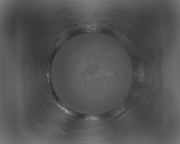 X0000054380610200508011255