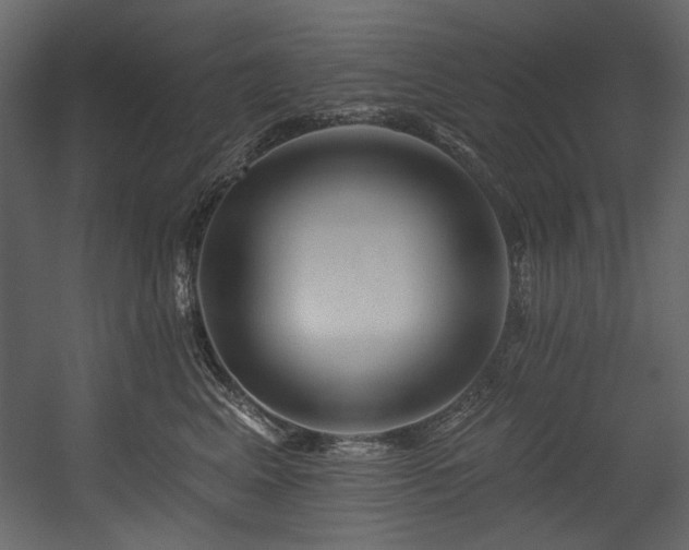 X0000054380617200508011255