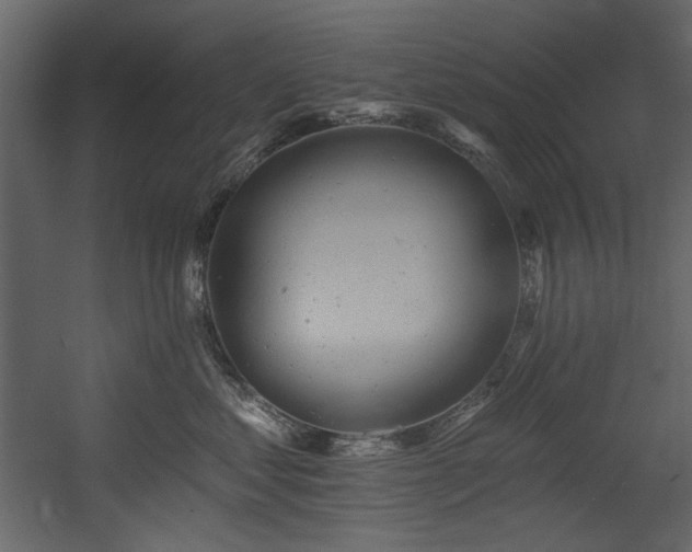 X0000054380621200508011255
