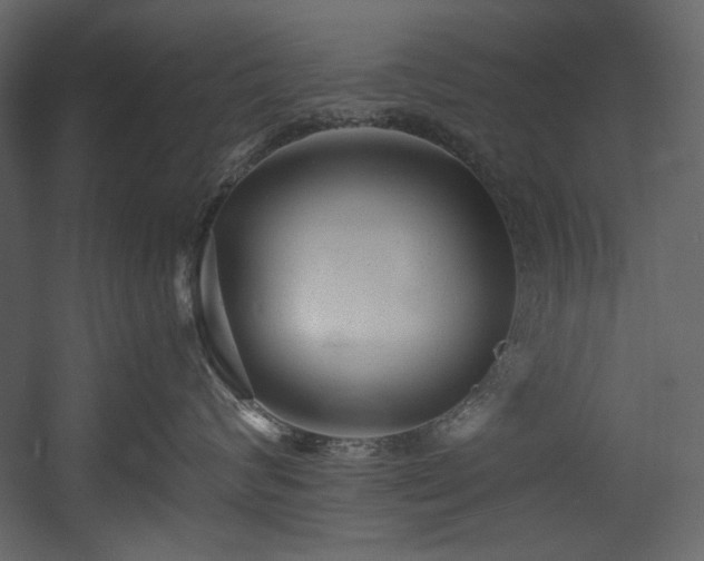 X0000054380624200508011255