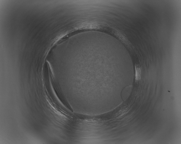 X0000054380627200508011254