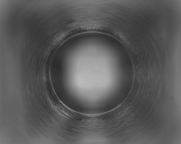 X0000054380631200508011254