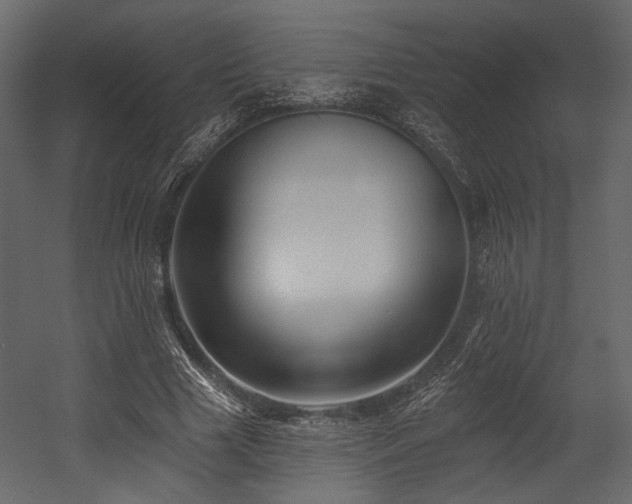 X0000054380633200508011254