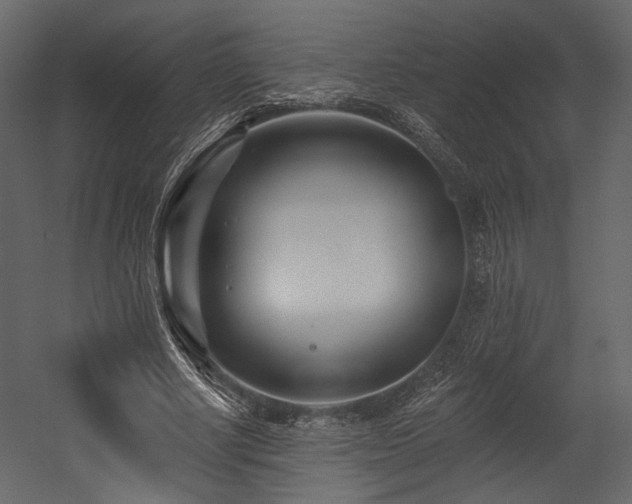 X0000054380634200508011254