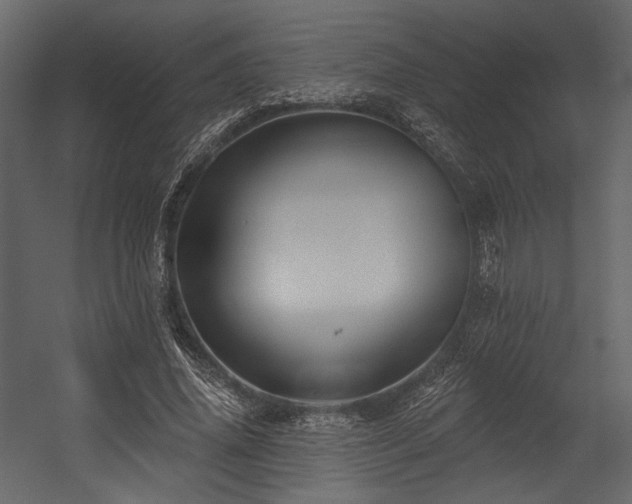 X0000054380636200508011254