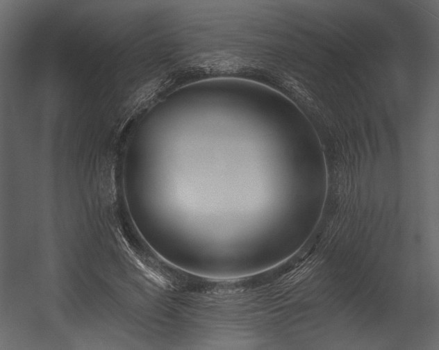 X0000054380638200508011254