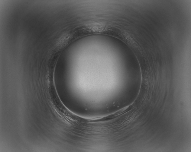 X0000054380639200508011254