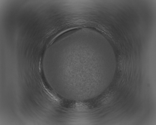 X0000054380641200508011255