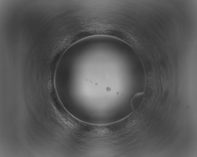 X0000054380642200508011255