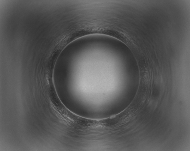 X0000054380643200508011255