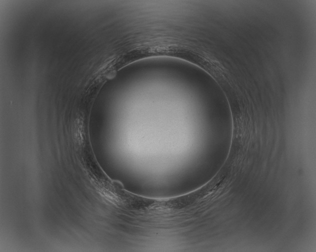X0000054380648200508011255