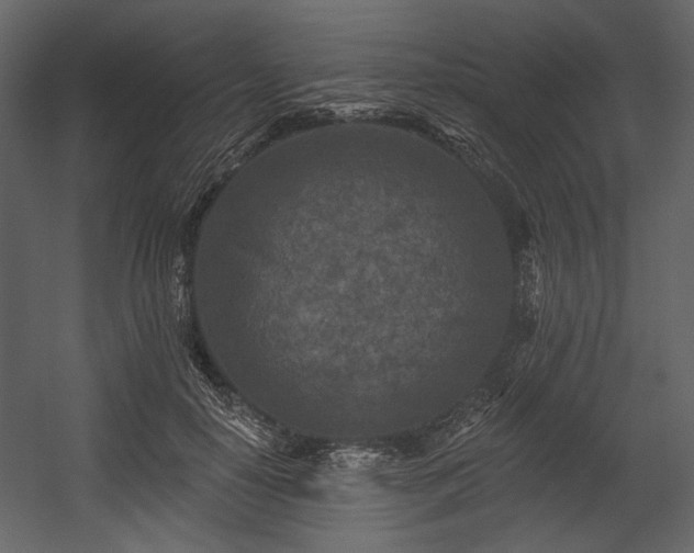X0000054380650200508011255