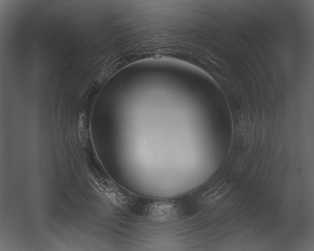 X0000054380651200508011255