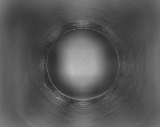 X0000054380652200508011255