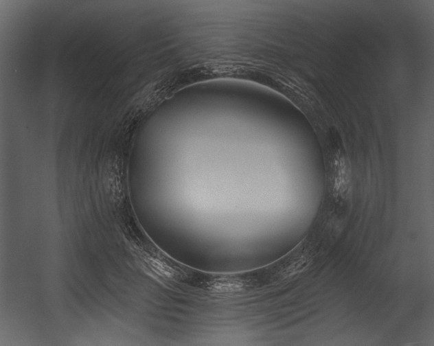 X0000054380653200508011255