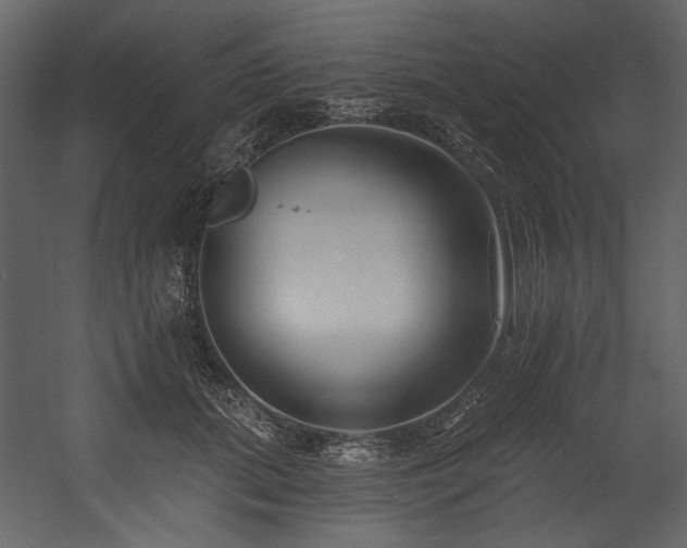X0000054380655200508011255