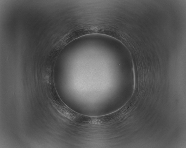 X0000054380656200508011255