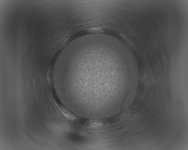 X0000054380658200508011255
