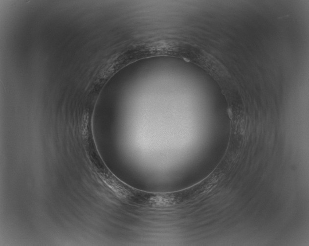 X0000054380660200508011255