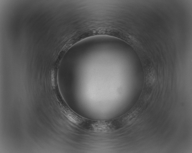 X0000054380661200508011255