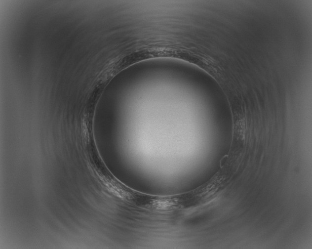 X0000054380662200508011255
