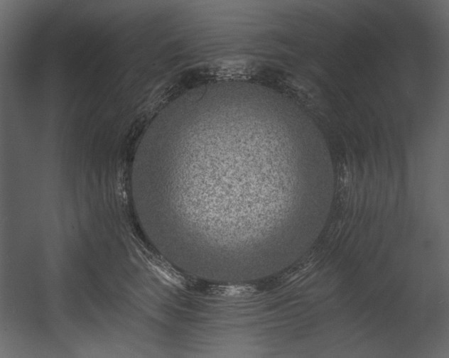 X0000054380663200508011255