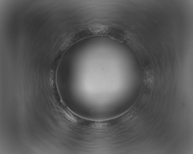 X0000054380664200508011255