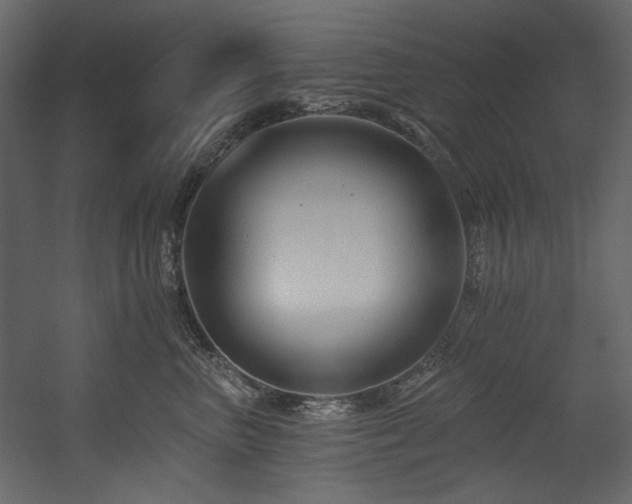 X0000054380667200508011255