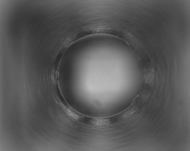 X0000054380670200508011255