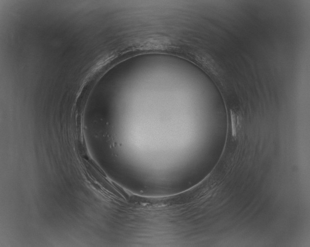 X0000054380675200508011254