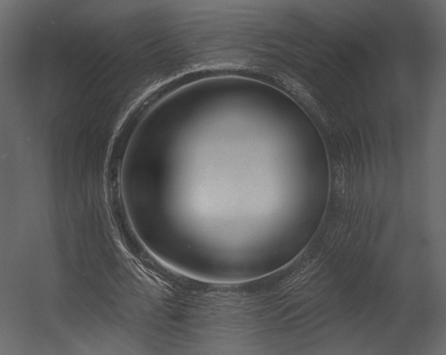 X0000054380676200508011254