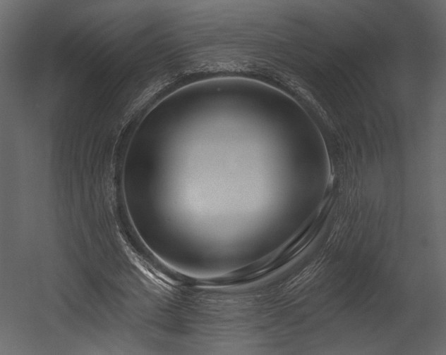 X0000054380677200508011254