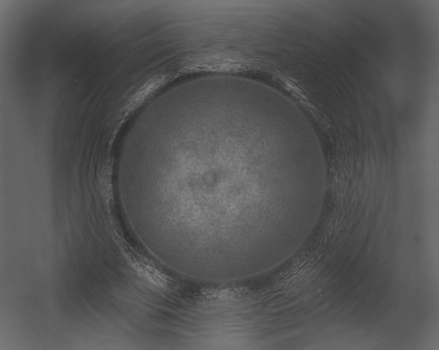 X0000054380679200508011254