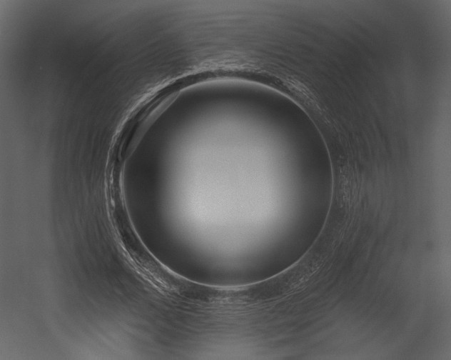 X0000054380680200508011254