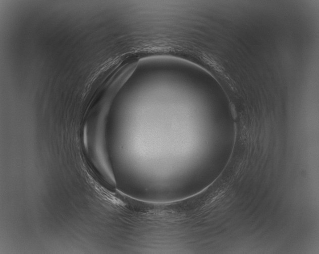 X0000054380681200508011254