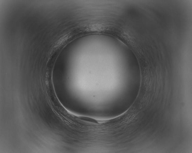 X0000054380683200508011254