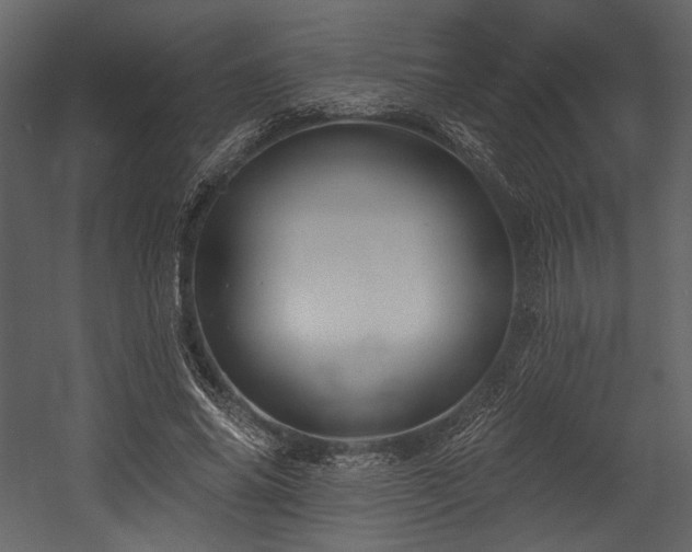 X0000054380686200508011254