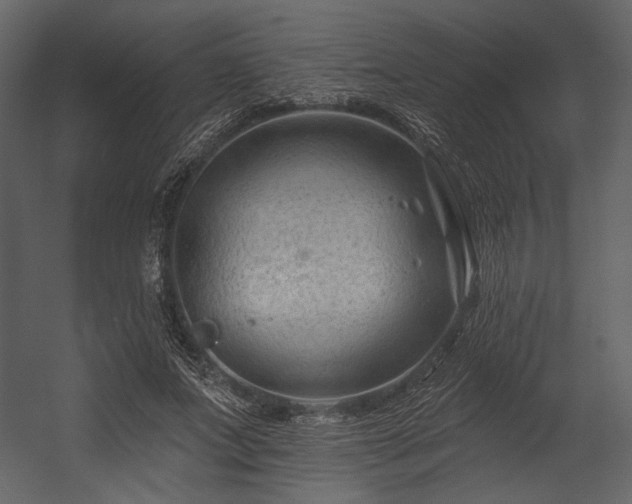 X0000054380687200508011254