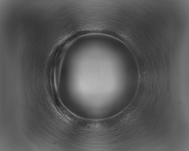 X0000054380688200508011254