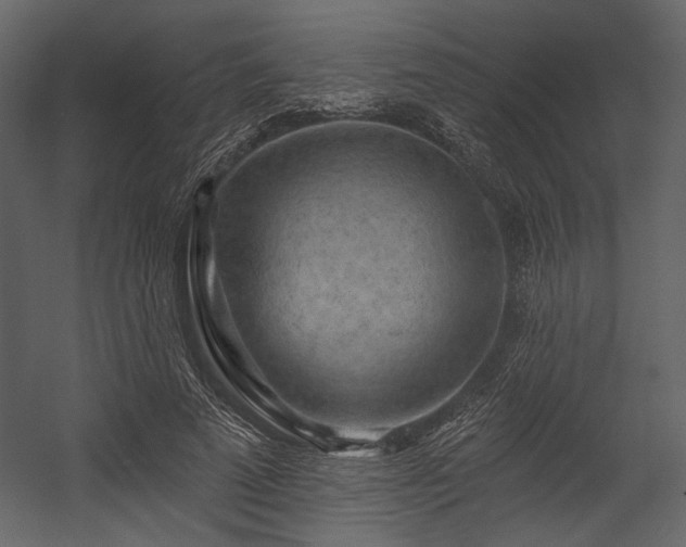 X0000054380689200508011254