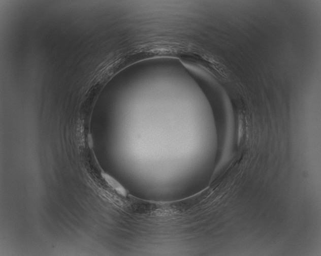 X0000054380696200508011254