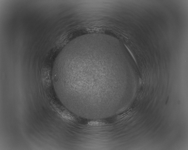 X0000054380699200508011254