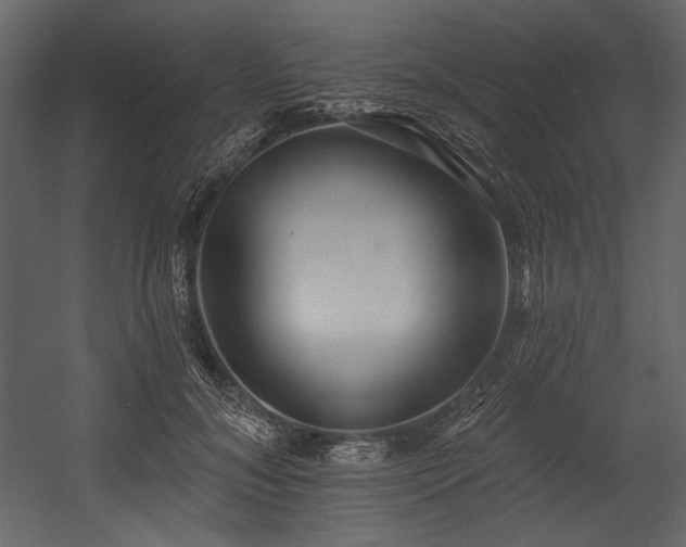 X0000054380700200508011254