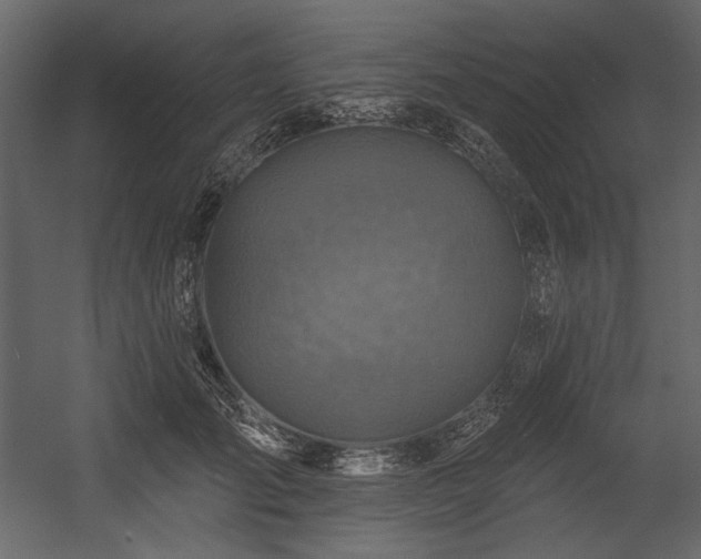X0000054380701200508011254