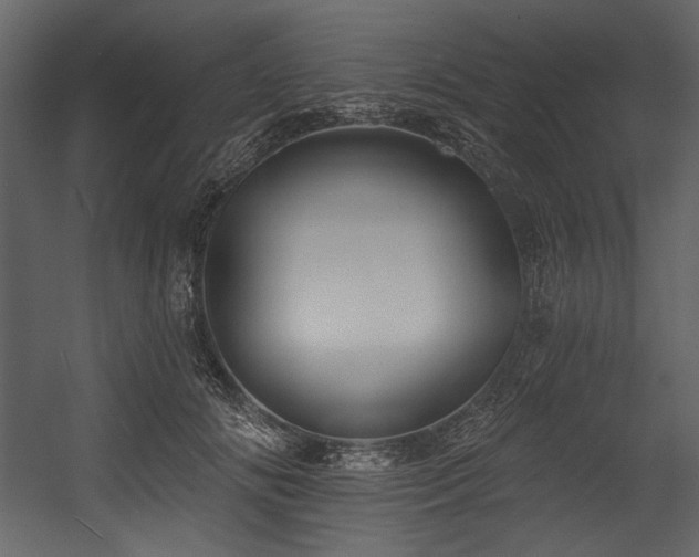 X0000054380702200508011254