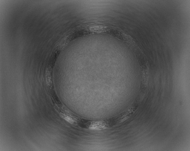 X0000054380705200508011254