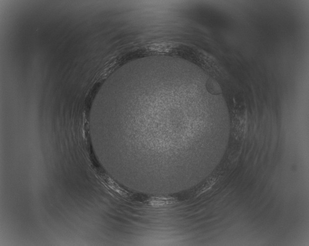 X0000054380707200508011254