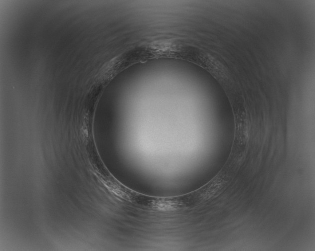X0000054380710200508011254