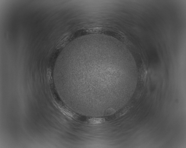 X0000054380711200508011254