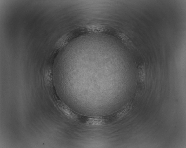 X0000054380713200508011254